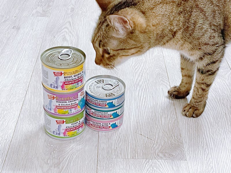 女人知己試用大隊,口碑行銷,部落客行銷,PURRFACT 波菲特貓用主食罐,主食罐,PURRFACT波菲特,貓主食罐,貓罐,PURRFACT波菲特貓用主食罐,魚肉蔓越莓主食罐,鮮嫩雞主食罐,鹿肉雞肉主食罐,牛肉鵪鶉貓主食罐,干貝蠶蛹配方,鱷魚肉白木耳配方,雞肉魚肉配方,安心鶉配方,評價,體驗,適口性佳,心得,成貓適用,高齡貓適用,質地是慕絲狀